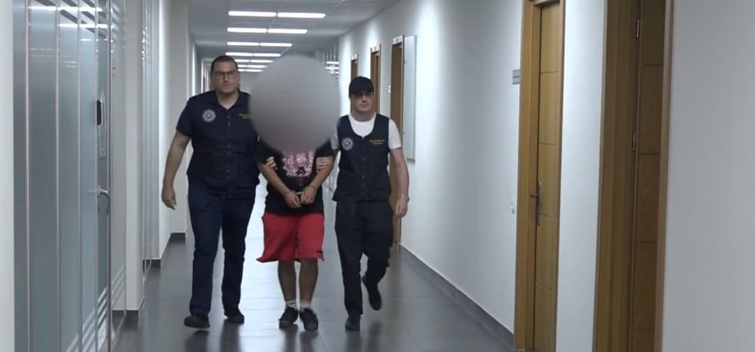 შსს-მ თაღლითობის ბრალდებით ერთი პირი დააკავა