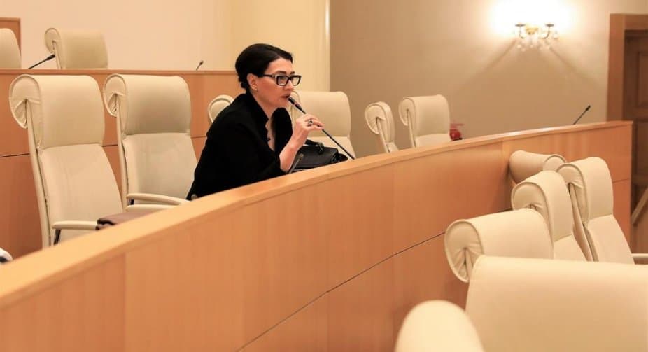 თაკო ჩარკვიანი – ჩვენი პრეზიდენტი ჩვენია, ოკუპანტს ნუ მივუგდებთ საჯიჯგნად, კიევი-თბილისი ისტორიული რეისია!