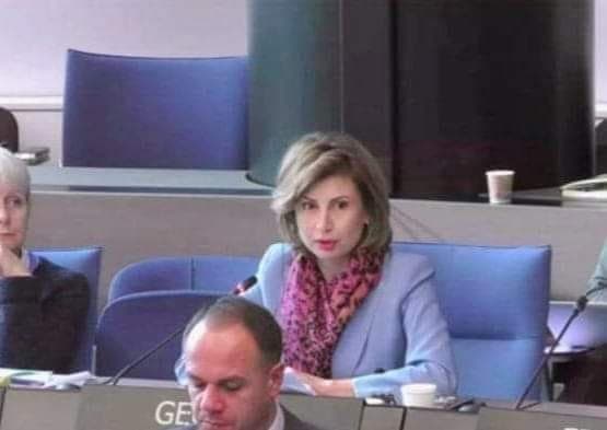 თამარ ტალიაშვილმა ევროპის საბჭოს მინისტრთა კომიტეტზე რეგიონთა კონგრესის რეფორმებში საქართველოს აქტიურ ჩართულობაზე ისაუბრა