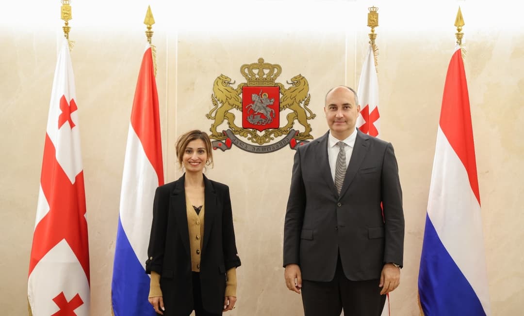 თავდაცვის მინისტრი ნიდერლანდების სამეფოს ელჩს შეხვდა