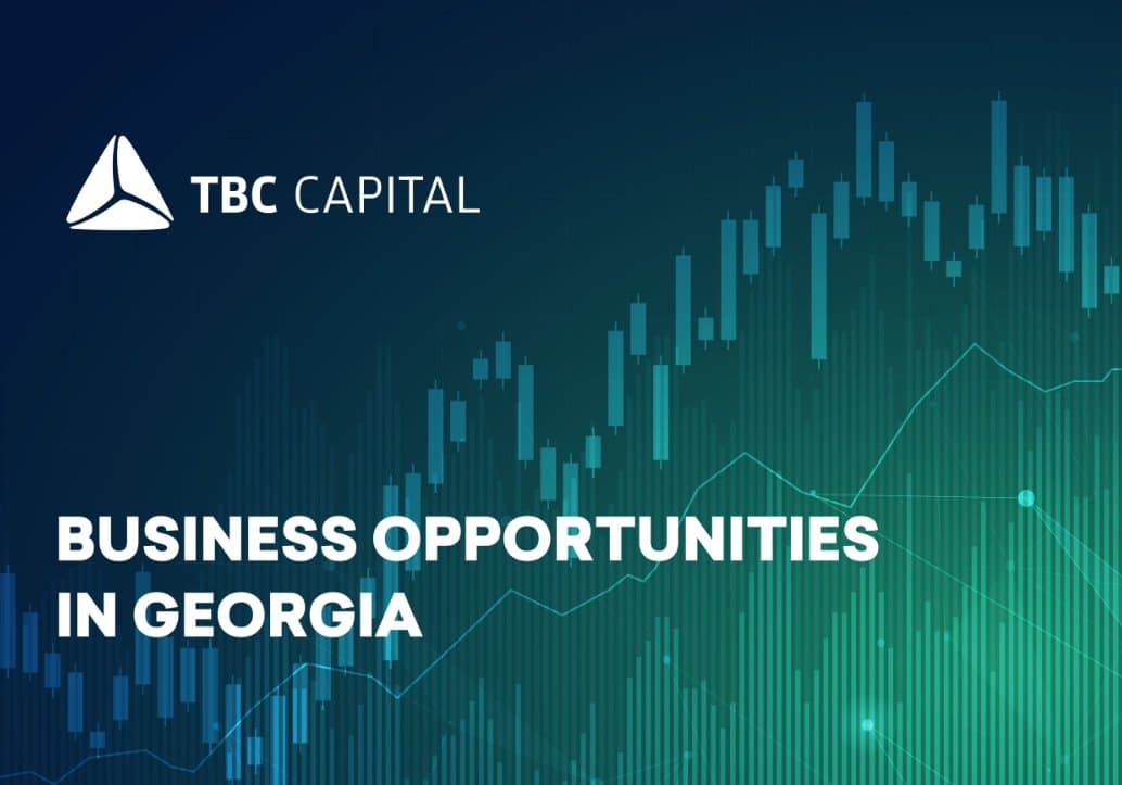Business Opportunities in Georgia