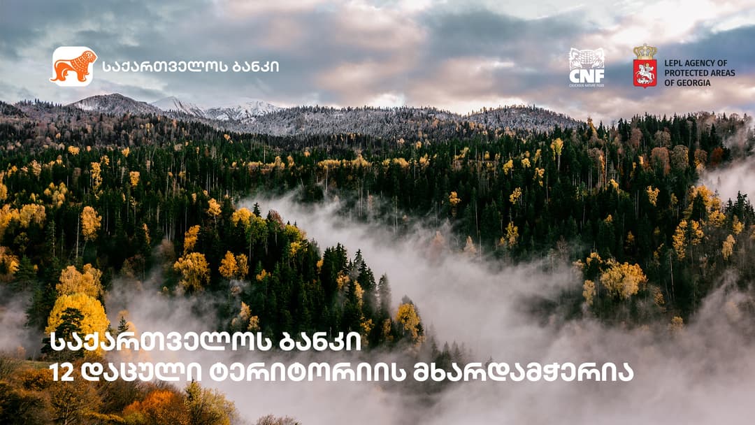 “საქართველოს ბანკის” მხარდაჭერით, საქართველოში დაცული ტერიტორიების პირველი საერთაშორისო სამიტი იმართება