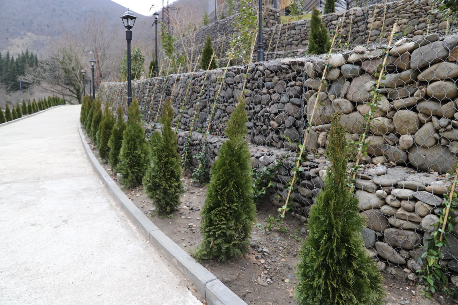 Frontnews image description