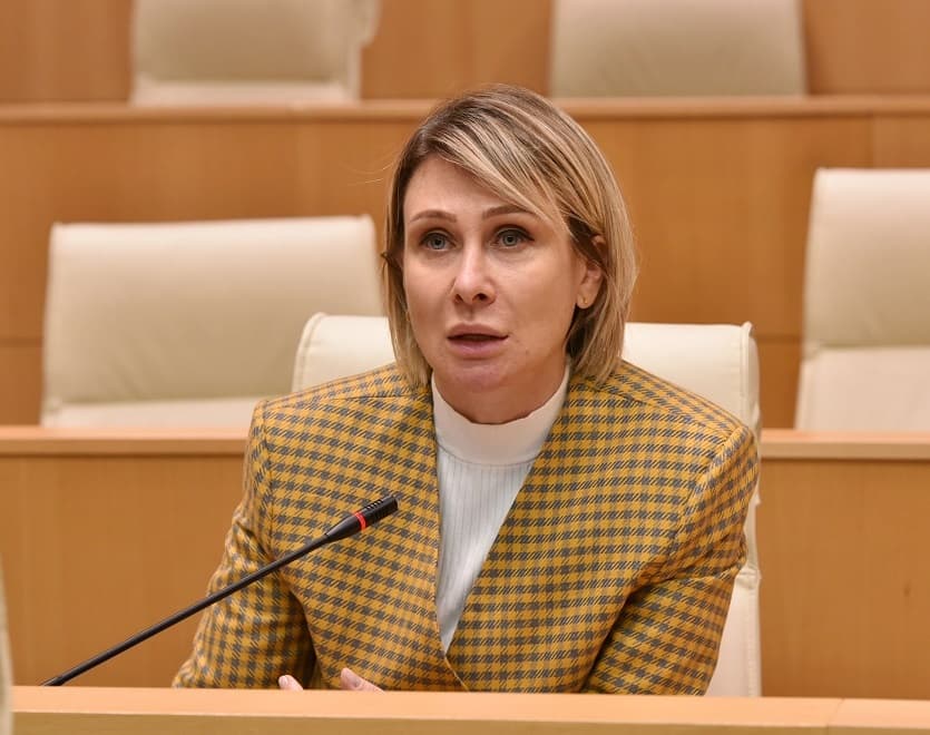 ნინო წილოსანი – მცდელობა, რომ საზოგადოებაში დათესონ რაღაც შიში რუსეთიდან საზღვრის გადმოკვეთასთან დაკავშირებით, სათანადოდ პასუხგაცემული უნდა იყოს