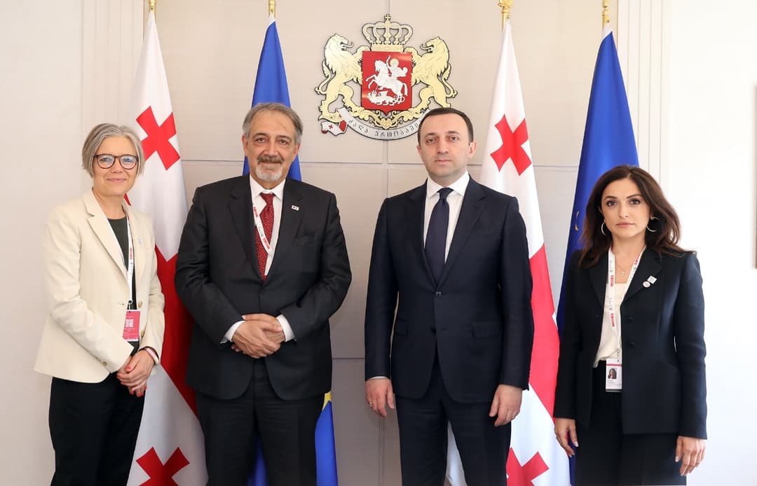 ირაკლი ღარიბაშვილი ფრანჩესკო როკას შეხვდა