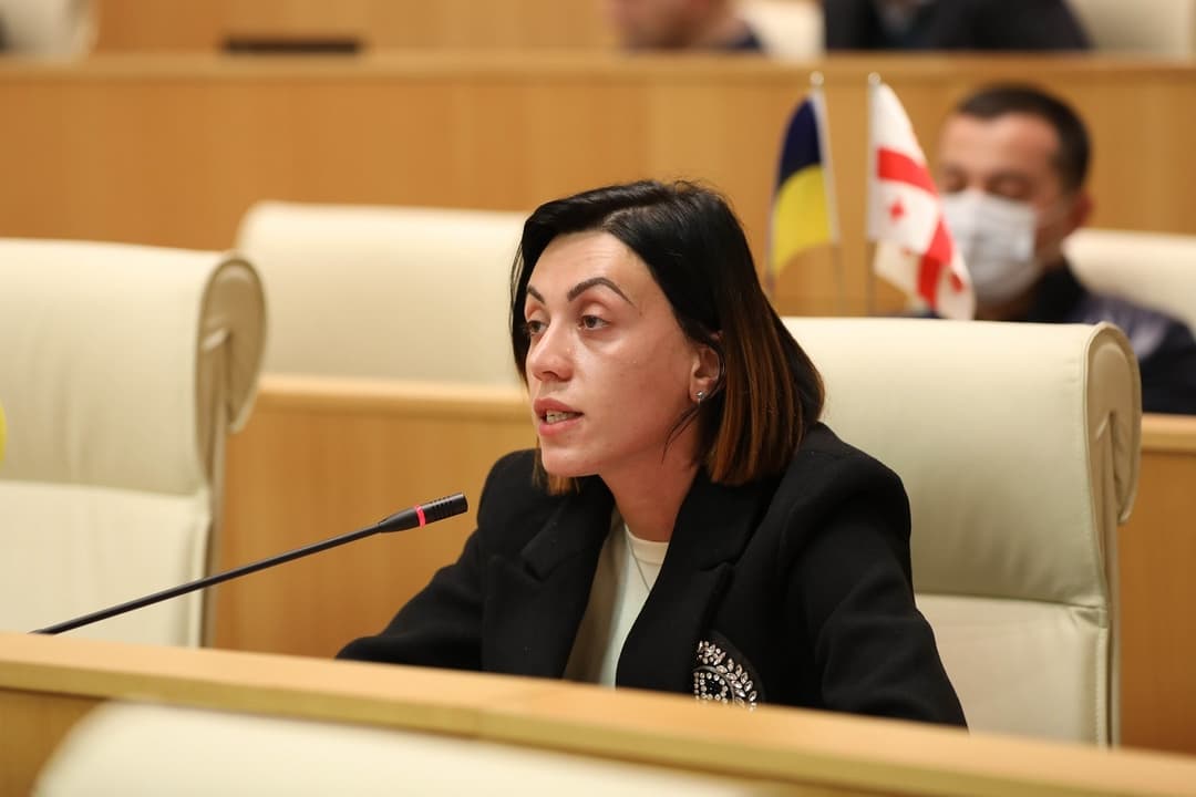 ანა წითლიძე – მთავარია რას ამბობს ევროკავშირი, აშშ და არა ის, რას ამბობს ორბანი