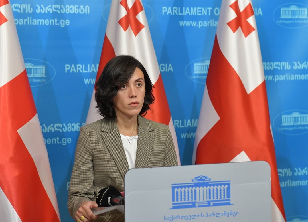 ანა წითლიძე – არსებობს ერთადერთი გზა, ეს არის თქვენი ხმა, თქვენი პროტესტის ხმა ისმოდეს ხმამაღლა