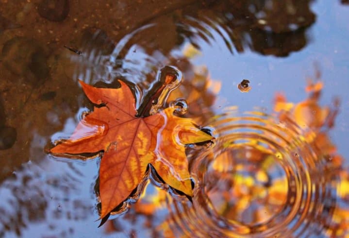 23-25 ოქტომბერს მოსალოდნელი ამინდი საქართველოში