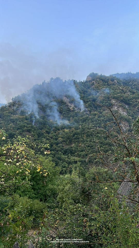 ლიკანში ტყის მასივში ხანძარია