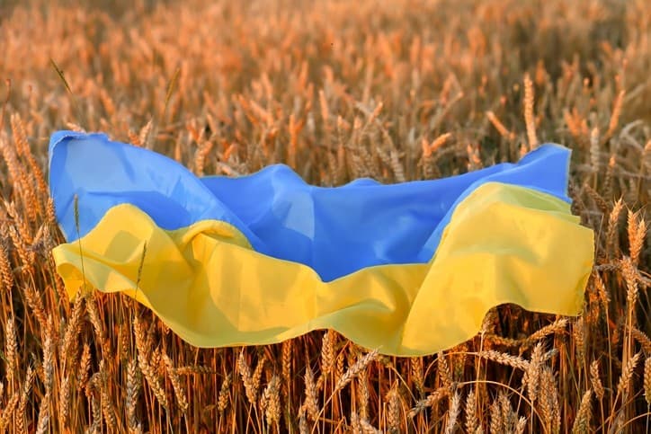 Ukraine suspends export of some food products