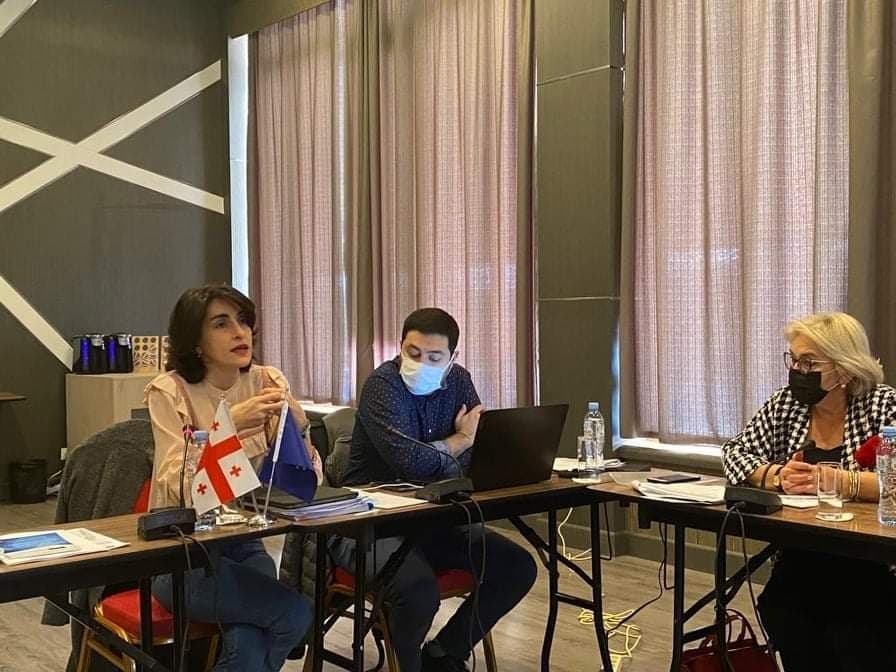 ევროპასთან ინტეგრაციის კომიტეტმა 2022 წლის სამოქმედო გეგმაზე იმსჯელა