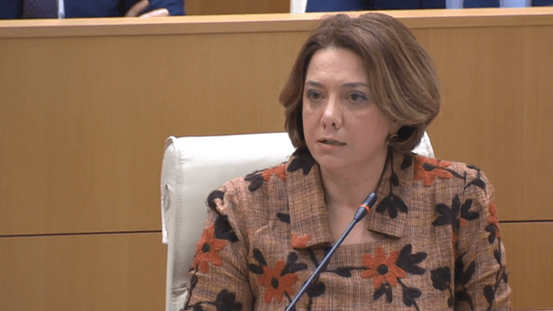 სალომე სამადაშვილი – სამწუხაროდ, მივიღებთ ბევრად ნაკლებს, ვიდრე შეიძლებოდა, რომ მიგვეღო