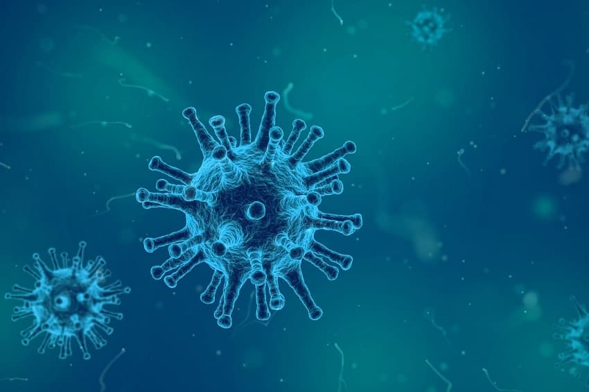 24 საათში საქართველოში კორონავირუსით 46 ადამიანი გარდაიცვალა