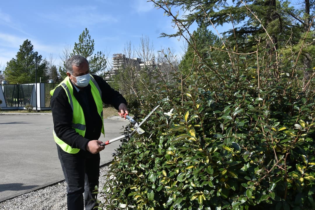 წყალტუბოს ცენტრალური პარკის მასშტაბური მოწესრიგება და რეაბილიტაცია დაიწყო