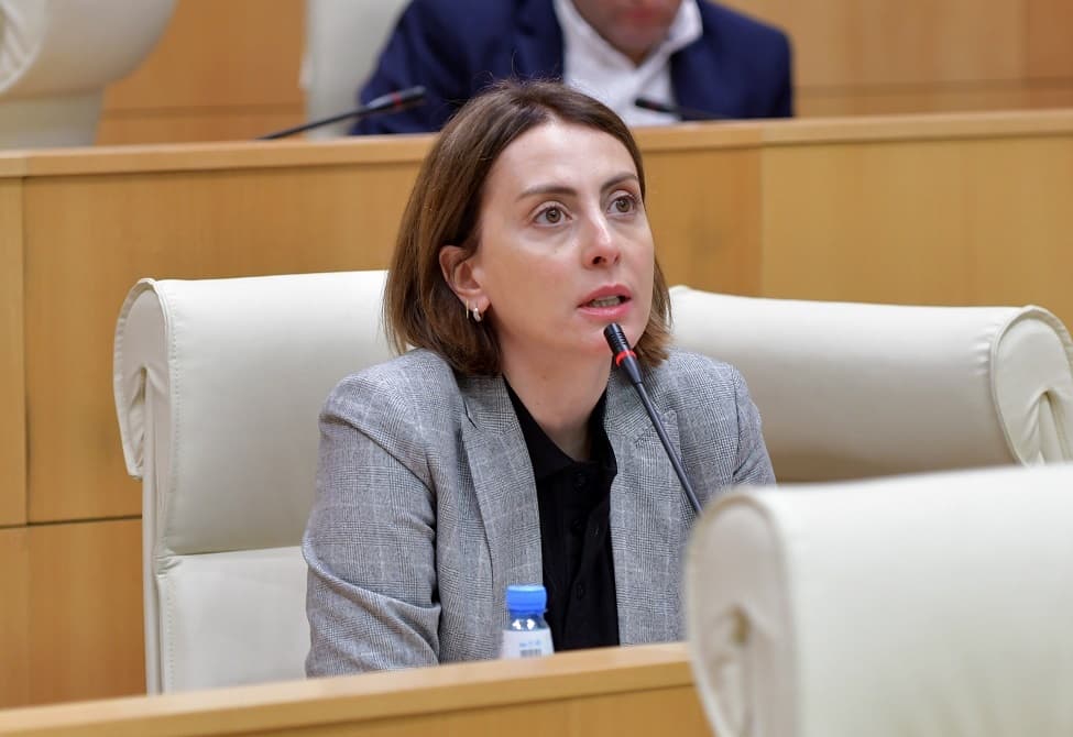 ხატია დეკანოიძე – პრეზიდენტი ზელენსკი თანახმაა, საქართველოს პარლამენტს ჩაერთოს და საქართველოს საზოგადოებას მიმართოს