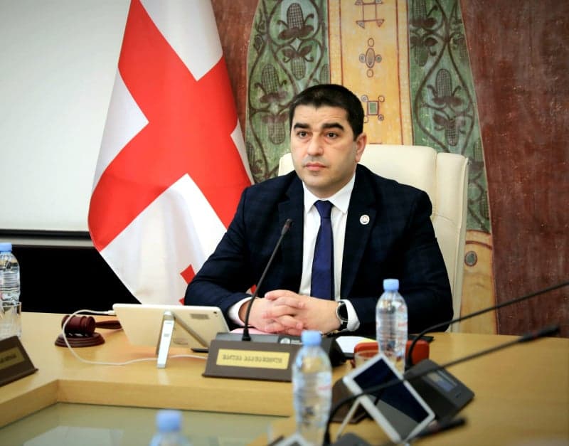 შალვა პაპუაშვილი – ჩვენი კოლეგების ნაწილი ჩართულია ჰიბრიდულ ომში იმ კუთხით, რომ დეზინფორმაციას პირდაპირ თავად ავრცელებენ სახელმწიფო ინსტიტუტების წინააღმდეგ