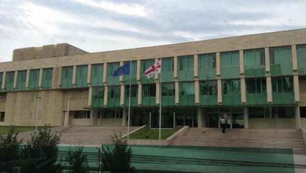 დიდი ოდენობით თაღლითობის ფაქტზე წალენჯიხის მუნიციპალიტეტის საკრებულოს წევრი დააკავეს