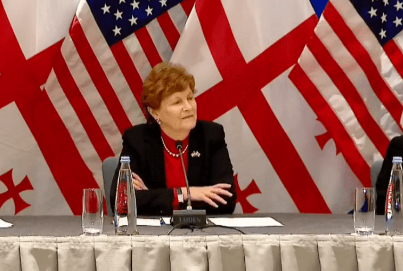 ჯინ შაჰინი – საქართველომ უნდა უპასუხოს ამ გამოწვევას, თუ ფიქრობს ევროკავშირში გაწევრიანებაზე