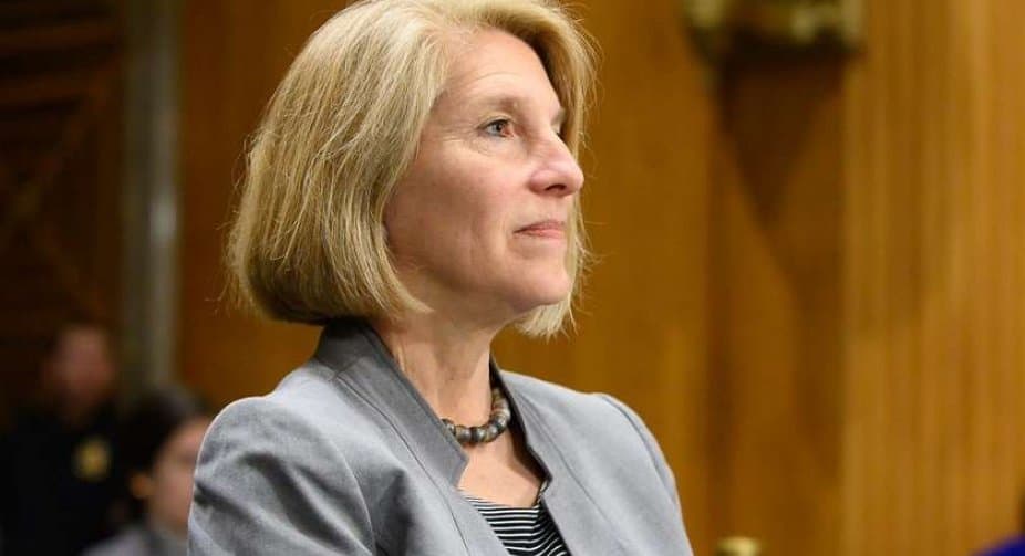 კარენ დონფრიდი – დააჩქარეთ პროგრესი რეფორმების გზაზე და თქვენ მიაღწევთ კანდიდატის სტატუსს