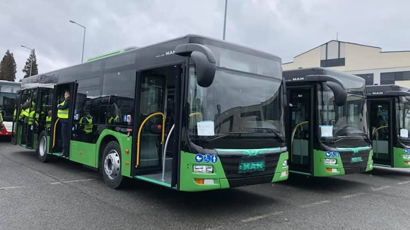 საგამოცდო ცენტრების მიმართულებით ავტობუსების დამატებითი მარშრუტები დაინიშნება