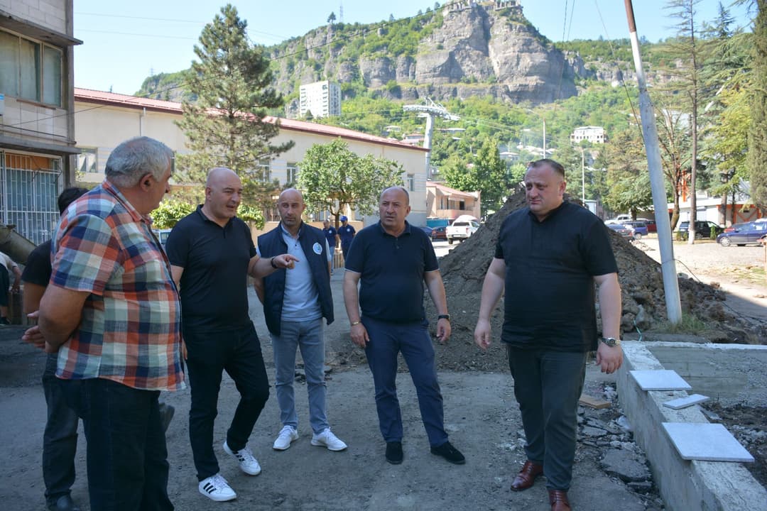 ჭიათურაში საკურას ხეივანი გაშენდება