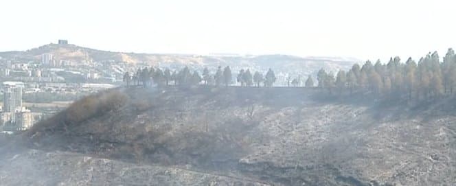 ქოშიგორის მიმდებარე ტერიტორიაზე ხანძარია