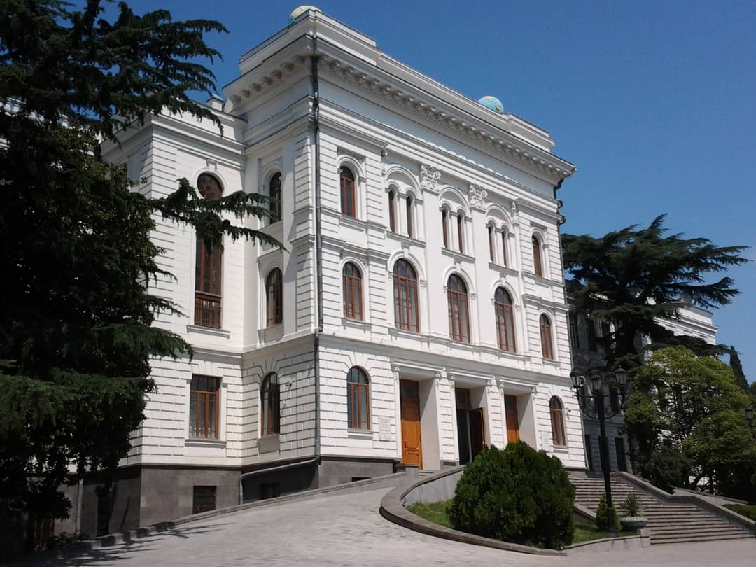 თსუ-ში რექტორის მოვალეობის შემსრულებლის არჩევნები სტუდენტების აქციის ფონზე მიმდინარეობს