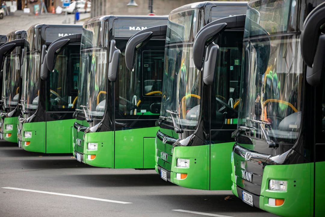 Vaccination centres made in busses in Tbilisi