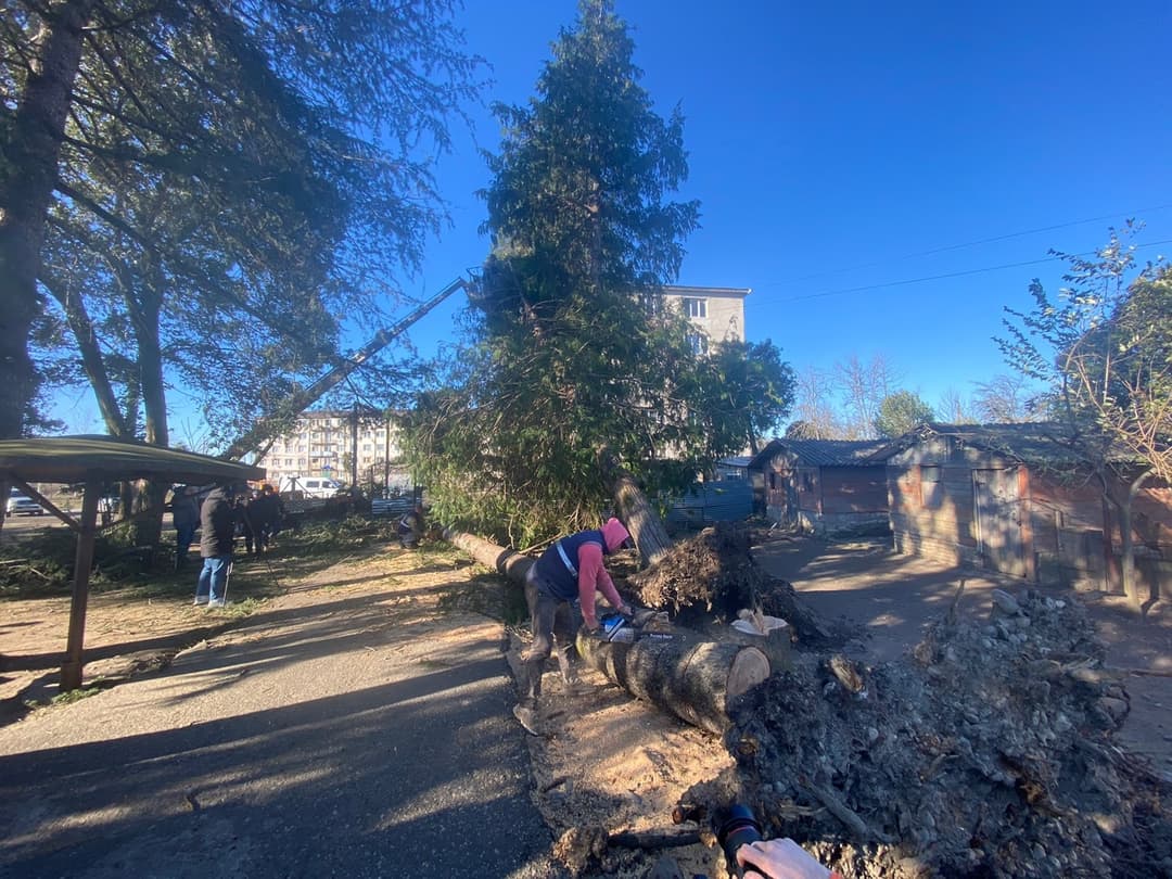 სამეგრელოში ძლიერმა ქარმა პრობლემები შექმნა