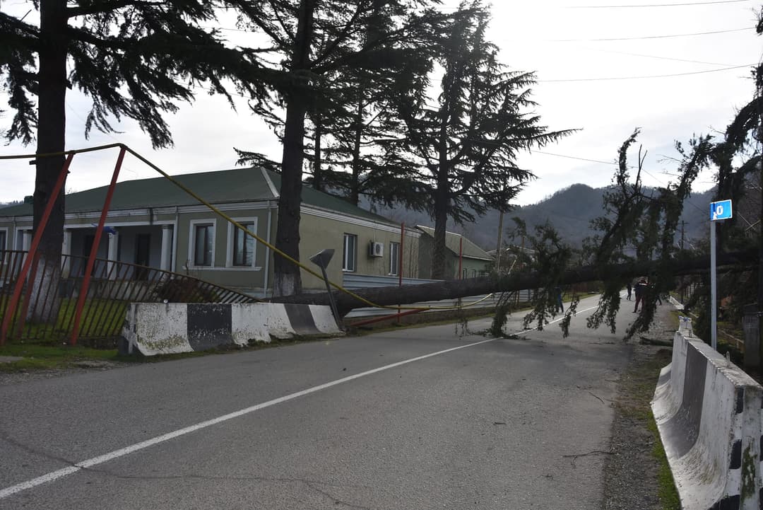 Strong winds kill one in western Georgia