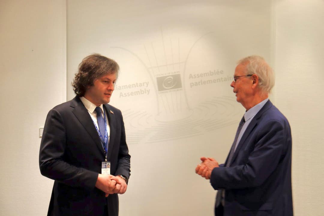 ირაკლი კობახიძე ტინი კოქსს შეხვდა