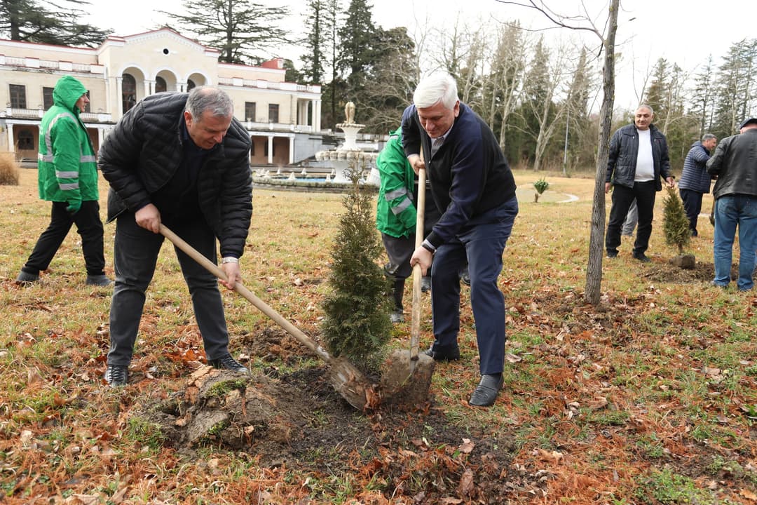 წყალტუბოში გამწვანების სამუშაოები აქტიურ რეჟიმში მიმდინარეობს