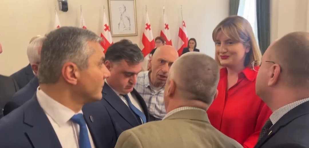 “განახებ რა შემიძლია” – პარლამენტში ვახტანგ მეგრელიშვილს და ვლადიმერ ჩაჩიბაიას შორის დაპირისპირება მოხდა