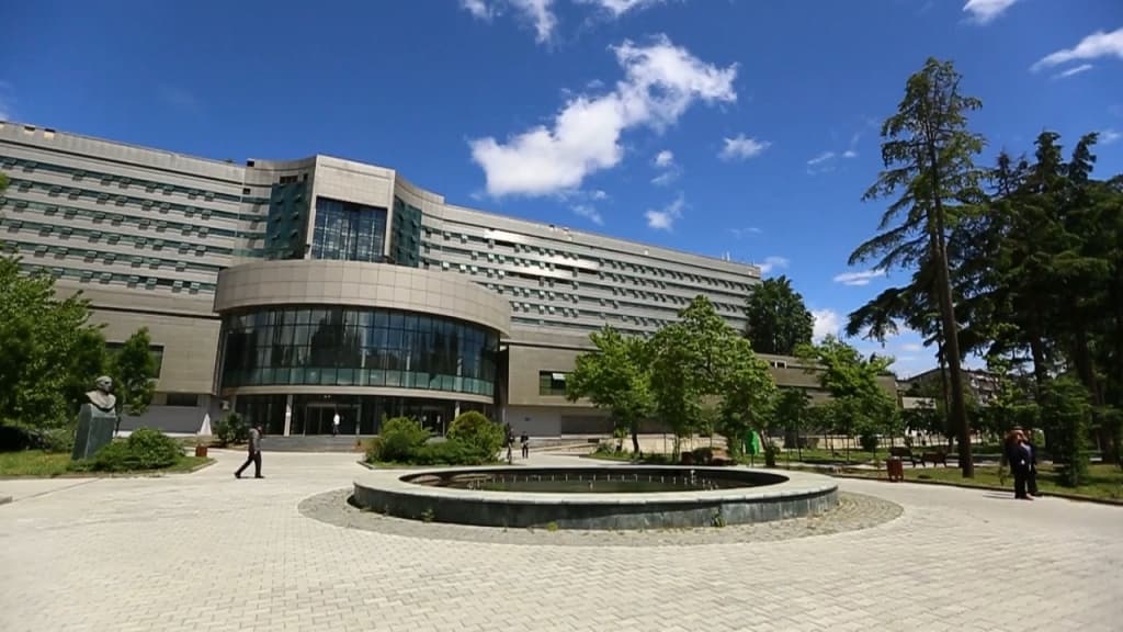 რესპუბლიკური საავადმყოფოს დირექტორის მოვალეობას თეა თავართქილაძე შეასრულებს