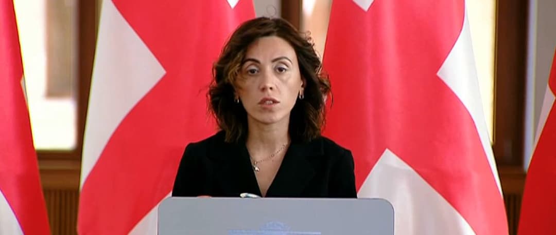 ანა წითლიძე – ვენეციის კომისიის დასკვნა პირდაპირ მიუთითებს, რომ კანონპროექტი არ იქნეს მიღებული ამ ფორმით, რადგან ის არის რეპრესიული