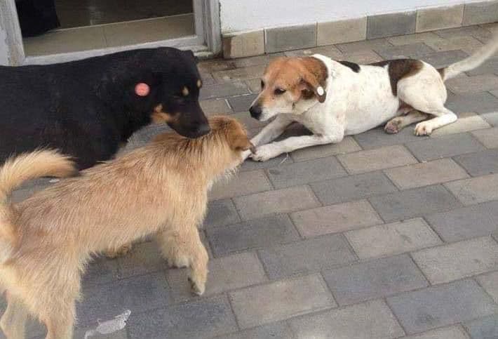 Frontnews image description