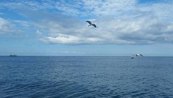 Frontnews image description