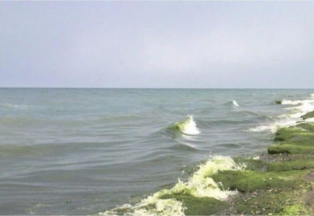 ფოთში, ზღვაში მეორე მოზარდის ცხედარიც იპოვეს