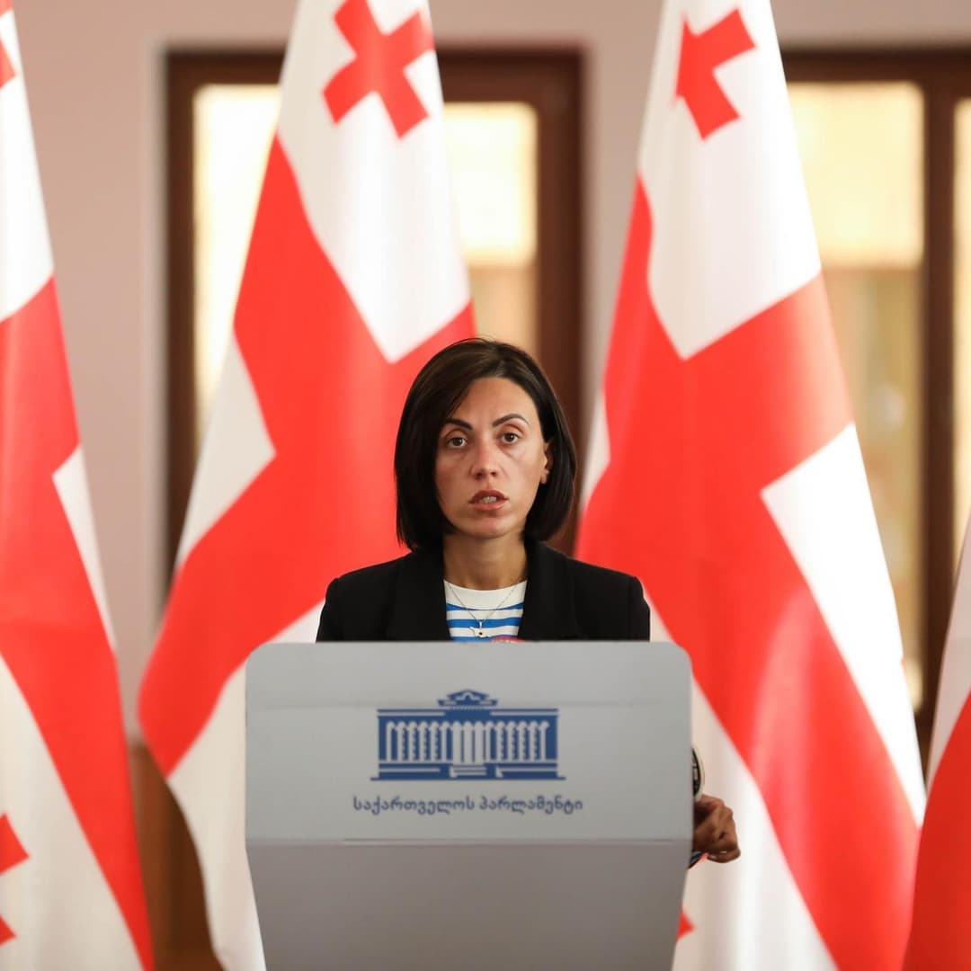 ანა წითლიძე – ყველა საპარლამენტო ბერკეტს გამოვიყენებთ, რათა შოვის ტრაგედიასთან დაკავშირებით კითხვებს პასუხი გაეცეს