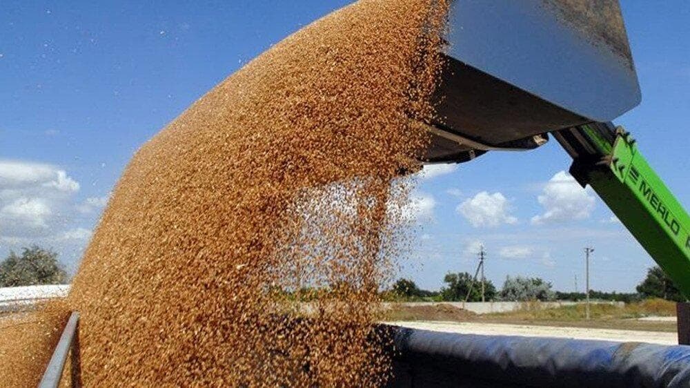 Kyiv in talks with global insurers to insure grain-carrying ships