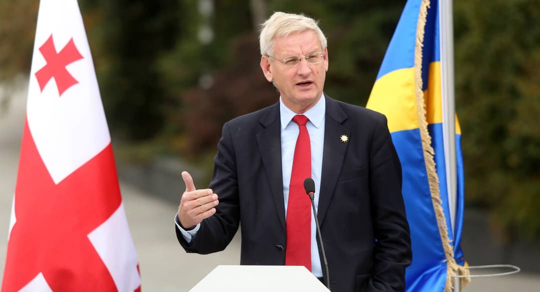 European Council official Bildt: charges against Saakashvili must be tested in a fair trial