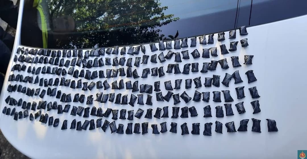 ნარკოდანაშაულის ფაქტზე რუსეთის მოქალაქე დააკავეს