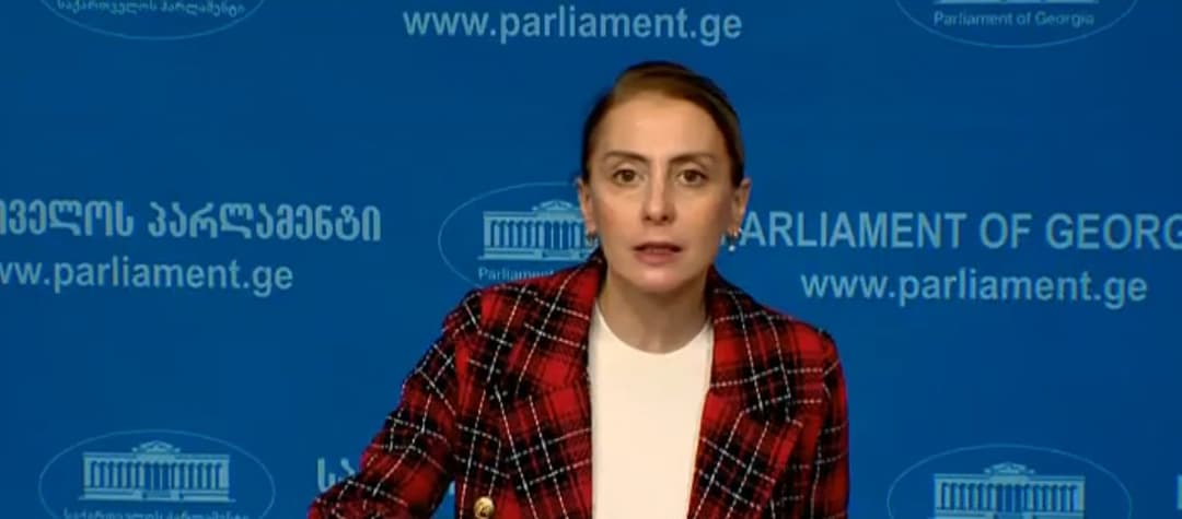 ხატია დეკანოიძე – ყველა უნდა დაფიქრდეს, ვიდრე მწვანე ღილაკს მიაჭერს ხელს