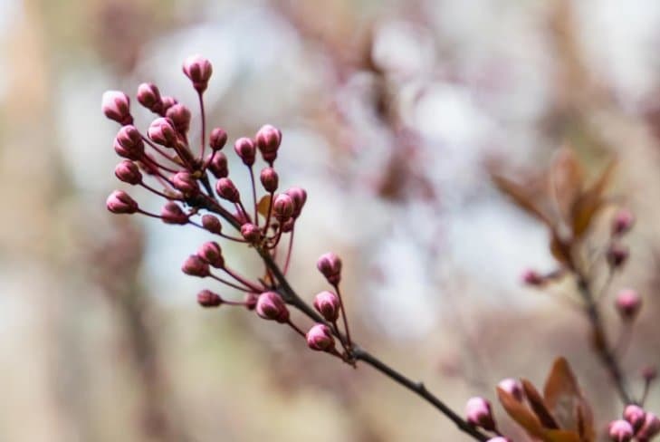 2-4 მარტს მოსალოდნელი ამინდი საქართველოში
