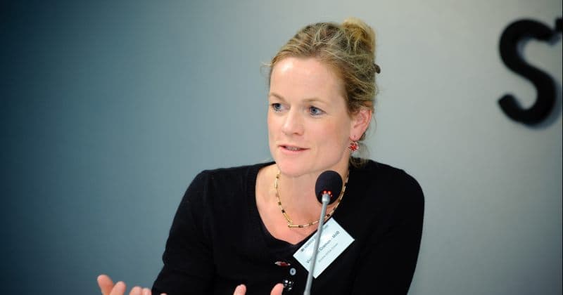 ვიოლა ფონ კრამონი – ამ კანონის მიღების შემთხვევაში ევროკავშირის პერსპექტივა აღარ იქნება