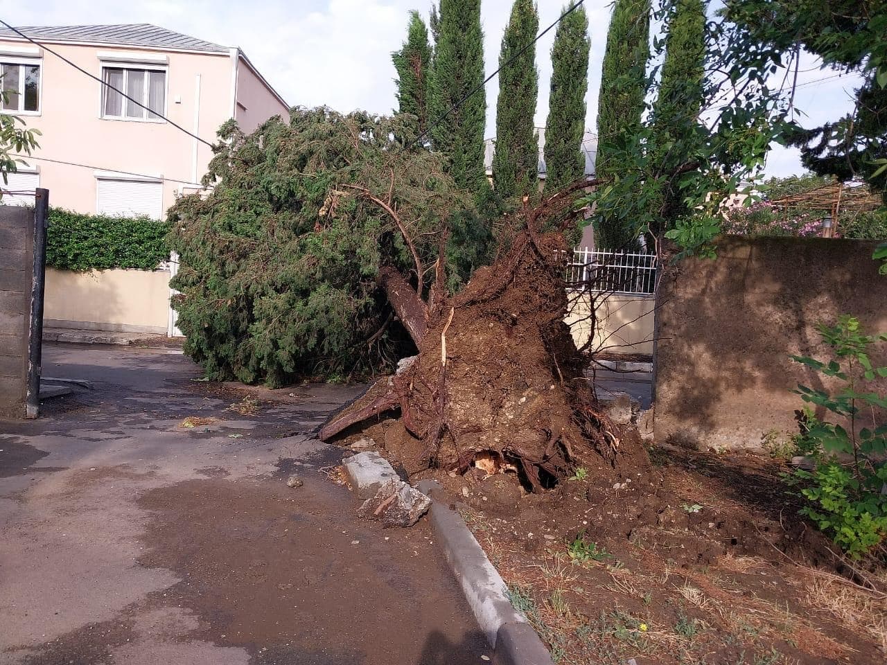 Frontnews image description