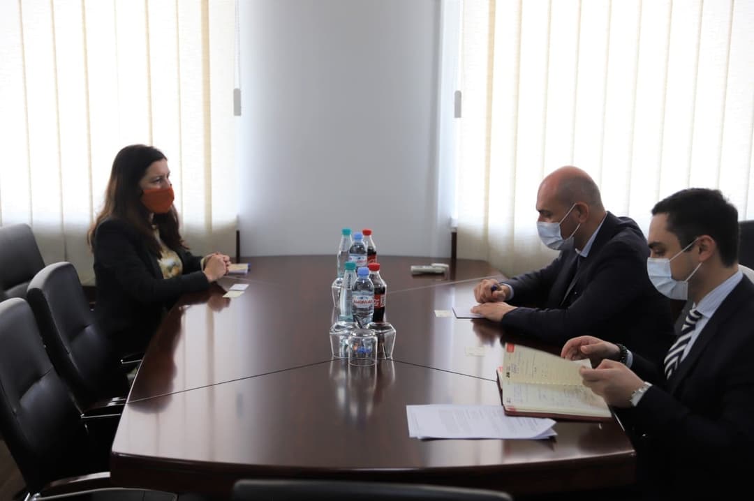 რუსლან აბაშიძე ჩეხური საერთაშორისო ორგანიზაცია „People In Need“ საქართველოს წარმომადგენლობის დირექტორს შეხვდა