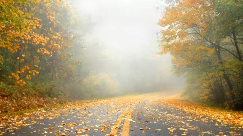 1 ნოემბრამდე მოსალოდნელი ამინდი საქართველოში