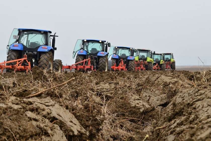 ქრთამის აღების ფაქტზე “სოფლის მეურნეობის ლოჯისტიკის და სერვისების კომპანიის“ კაჭრეთის სერვისცენტრის უფროსი დააკავეს