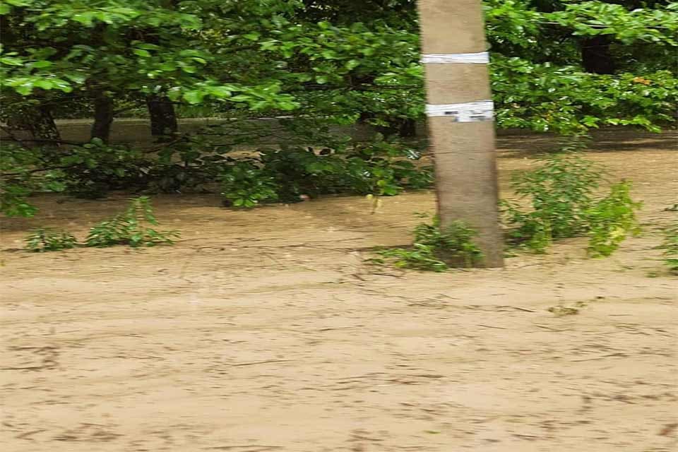 ძლიერმა წვიმამ ხობის რამდენიმე სოფელი დააზარალა